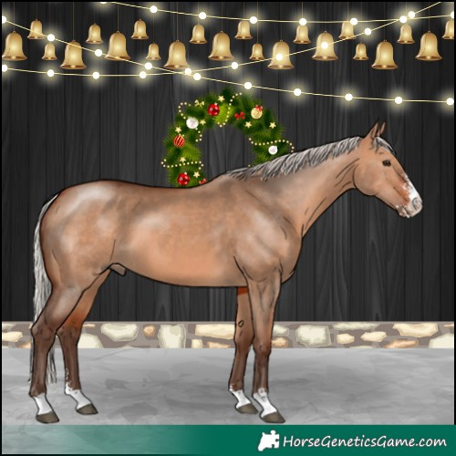 Horse Color:Silver Brown Dun Sabino 