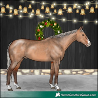 Horse Color:Silver Brown Dun Sabino 