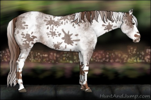 Horse Color:White Spotted Liver Red Roan Splash