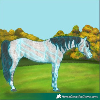 Horse Color:Thunderstruck Bay Ice Roan Sabino 