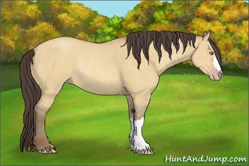Horse Color:Amber Champagne Dun Rabicano