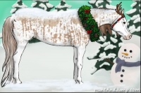 Horse Color:Red Dun Splash  and Red Dun Splash 