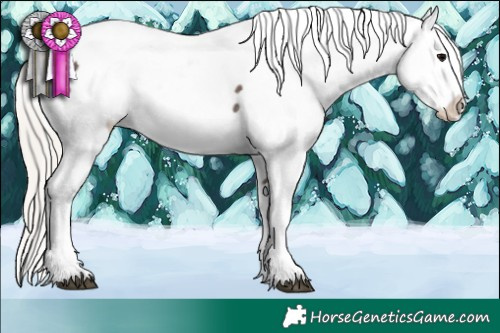 Horse Color:Silver Black Sabino Tobiano Near Fewspot 