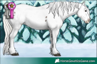 Horse Color:Silver Black Sabino Tobiano Appaloosa 