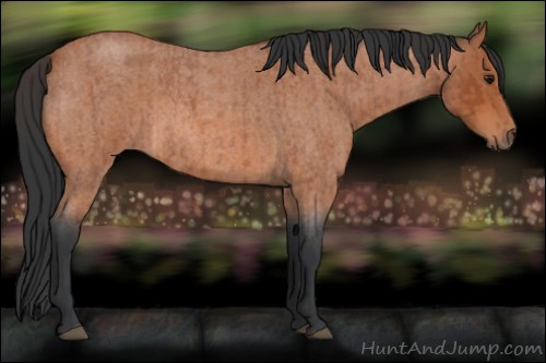 Horse Color:Bay Roan Sabino Rabicano  and Bay Roan Sabino Rabicano 