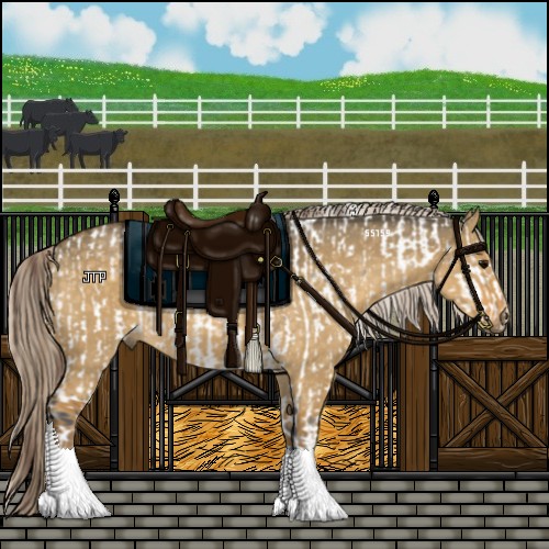 Horse Color:Buckskin Ice Dun Appaloosa  and Chocolate Palomino Dun 