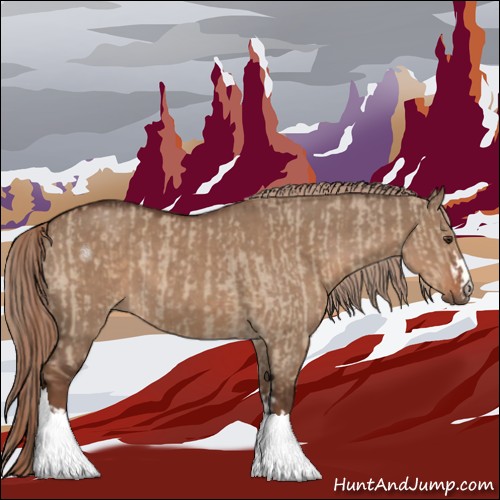 Horse Color:Liver Red Dun  and Liver Red Dun 