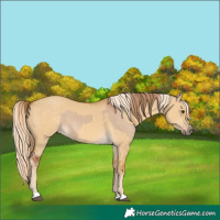 Horse Color:Red Dun  and Palomino Dun 