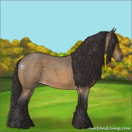 Horse Color:Buckskin Roan 