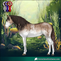 Horse Color:White Spotted Chocolate Brown Dun  and White Spotted Liver Red Dun 