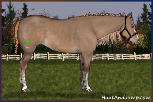 Horse Color:Liver Red Dun and Liver Red Dun