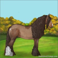Horse Color:Liver Red Dun  and Liver Chestnut 