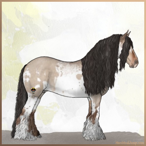 Horse Color:Liver Red Dun Roan Tobiano  and White Spotted Liver Red Dun Roan 