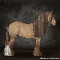 Horse Color:Chocolate Palomino Dun  and Liver Red Dun 