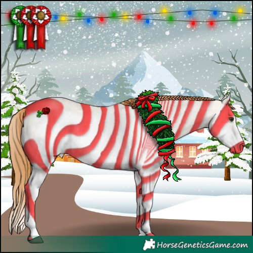 Horse Color:Red Dun Roan Splash Frame Rabicano 