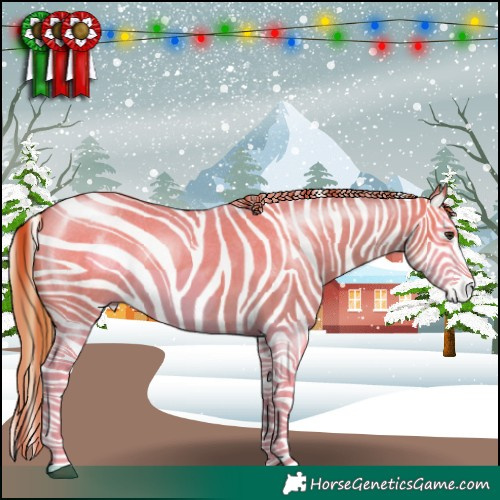 Horse Color:Red Dun Roan Splash Frame Rabicano 
