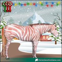 Horse Color:Red Dun Roan Splash Frame Rabicano 