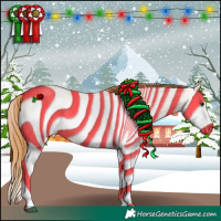 Horse Color:Red Dun Roan Splash Frame Rabicano 