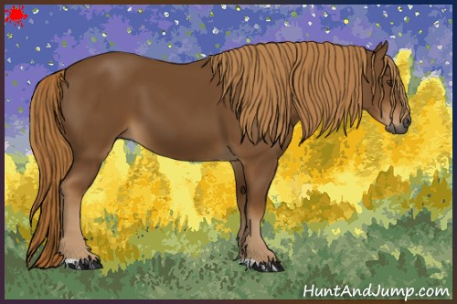 Horse Color:Gray Chestnut