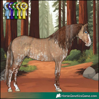 Horse Color:White Spotted Silver Buckskin Dun Splash and Red Dun Splash