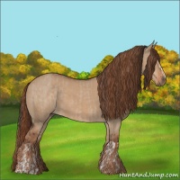 Horse Color:Liver Red Dun and Red Dun