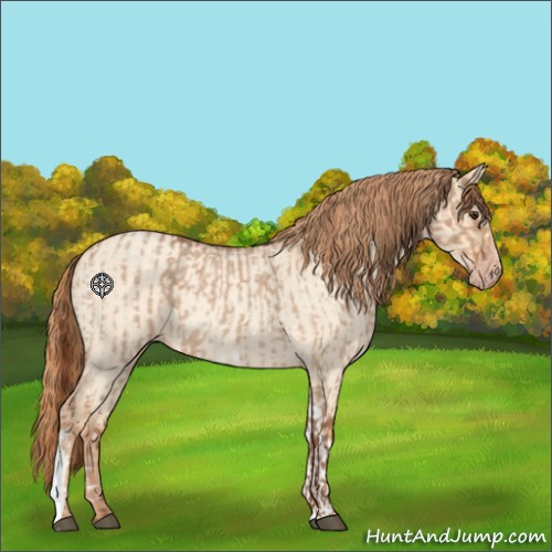 Horse Color:Red Dun Roan and Gold Champagne Roan Dun