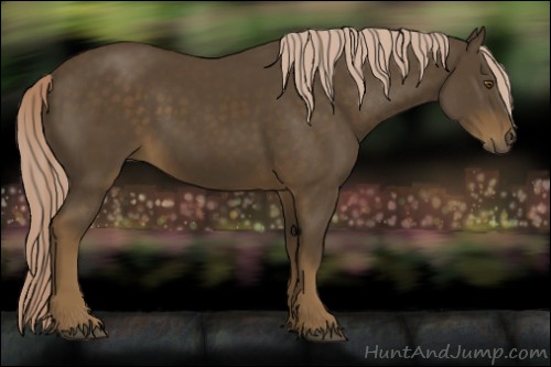 Horse Color:Chocolate Palomino 