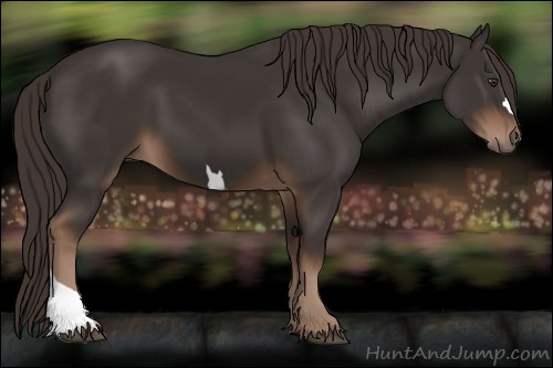 Horse Color:Liver Chestnut