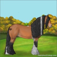 Horse Color:Bay Tobiano 