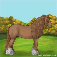 Horse Color:Chestnut Tobiano