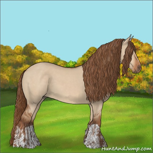 Horse Color:Red Dun  and Red Dun 