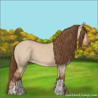 Horse Color:Red Dun  and Red Dun 