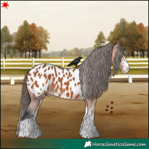 Horse Color:White Spotted Bay Tobiano Near Leopard
