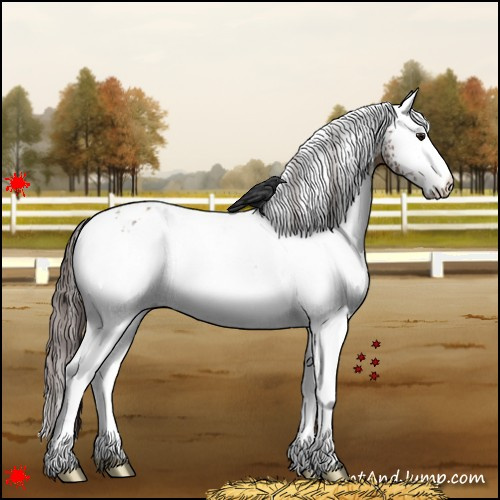 Horse Color:White Spotted Classic Champagne Appaloosa 