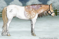 Horse Color:Bay Pearl Sabino 