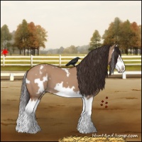 Horse Color:White Spotted Bay Dun Splash Frame
