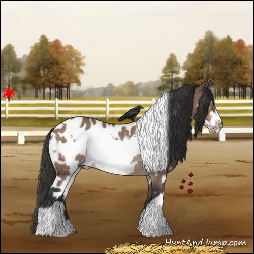 Horse Color:White Spotted Brown Dun Frame Blanket Rabicano 