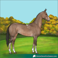 Horse Color:Brown Dun Tobiano and Liver Red Dun