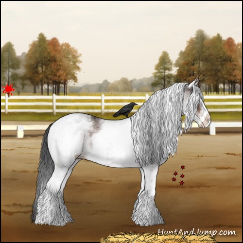Horse Color:White Spotted Brown 