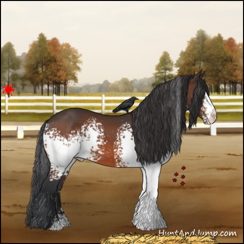 Horse Color:White Spotted Brown 