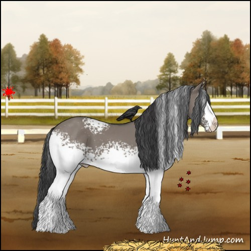 Horse Color:White Spotted Grullo 