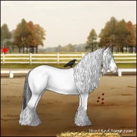 Horse Color:White Spotted Grullo 
