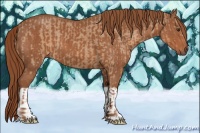 Horse Color:Red Dun  and Chestnut 