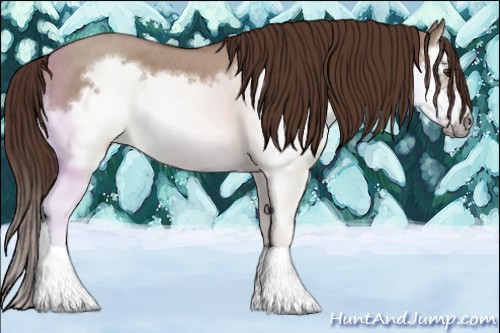 Horse Color:Liver Red Dun Roan Splash Frame Rabicano