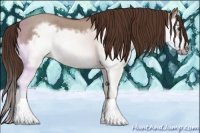 Horse Color:Liver Red Dun Roan Splash Frame Rabicano