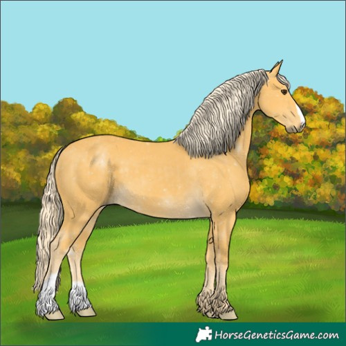 Horse Color:Palomino 