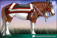 Horse Color:Chestnut Splash Frame 