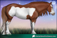 Horse Color:Chestnut Splash Frame 