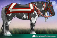 Horse Color:White Spotted Black 