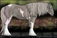Horse Color:White Spotted Silver Black Tobiano 